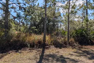 711 Azalea Dr, Indian Lake Estates, FL 33855 - Photo 1