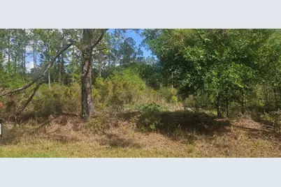 408 Pandora Drive, Indian Lake Estates, FL 33855 - Photo 2