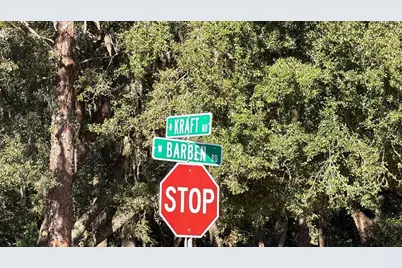 0 N Kraft Road, Avon Park, FL 33825 - Photo 6