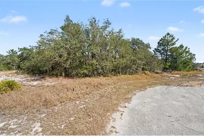 611 Amazon Court, Poinciana, FL 34759 - Photo 4