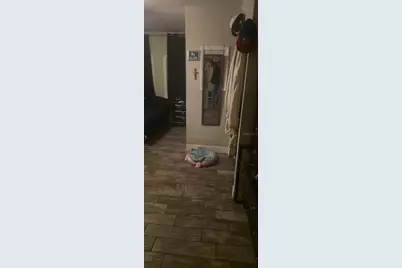 4906 Presidential Street, Seffner, FL 33584 - Photo 18