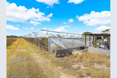 3510 Walk in Water Road, Lake Wales, FL 33898 - Photo 10