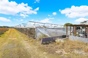 3510 Walk in Water Rd, Lake Wales, FL 33898 - Photo 10