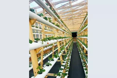 3510 Walk in Water Road, Lake Wales, FL 33898 - Photo 6