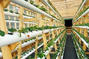 3510 Walk in Water Rd, Lake Wales, FL 33898 - Photo 6