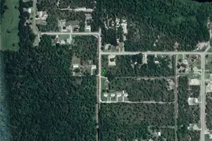 1224 Passion Flower St, Sebring, FL 33875 - Photo 4