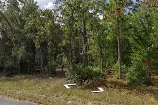 129 Christmas Dr, Florahome, FL 32140 - Photo 1