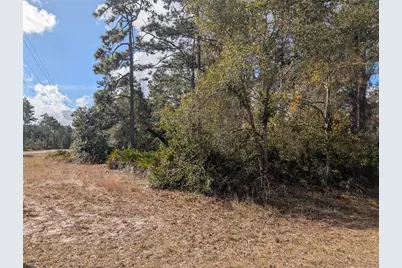 Allamanda Drive, Indian Lake Estates, FL 33855 - Photo 4