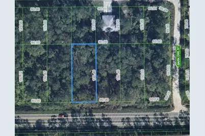2600 Hammock Road, Sebring, FL 33872 - Photo 2