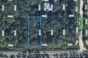 2600 Hammock Rd, Sebring, FL 33872 - Photo 2