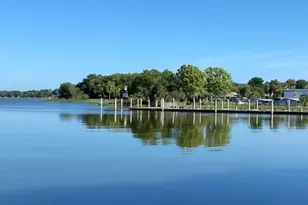 1245 N Alexander St, Mount Dora, FL 32757 - Photo 52