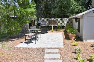 1245 N Alexander St, Mount Dora, FL 32757 - Photo 48