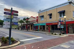 1245 N Alexander St, Mount Dora, FL 32757 - Photo 52