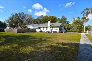 1245 N Alexander St, Mount Dora, FL 32757 - Photo 4