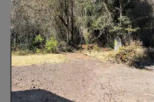 448 Crescent Blvd, Saint Augustine, FL 32095 - Photo 4