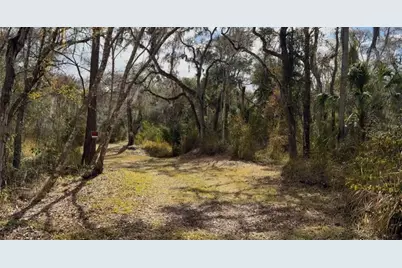 4051-3803 Dixiana Drive, Bowling Green, FL 33834 - Photo 2