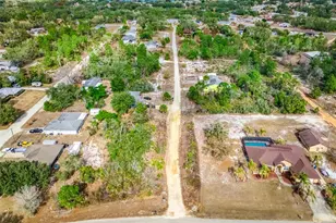 3085 W Scoralick Rd, Avon Park, FL 33825 - Photo 12