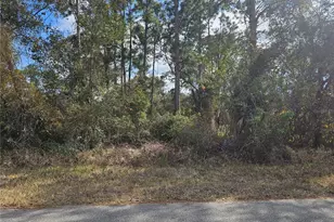 241 Phantasy Ave, Lake Placid, FL 33852 - Photo 1