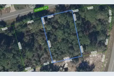 241 Phantasy Avenue, Lake Placid, FL 33852 - Photo 2