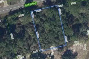 241 Phantasy Ave, Lake Placid, FL 33852 - Photo 2