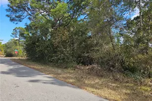 241 Phantasy Ave, Lake Placid, FL 33852 - Photo 10