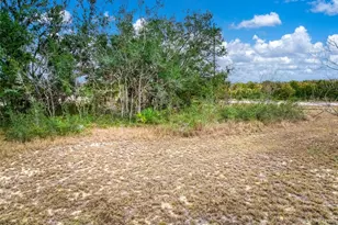 2713 W Hasbrouck Rd, Avon Park, FL 33825 - Photo 10