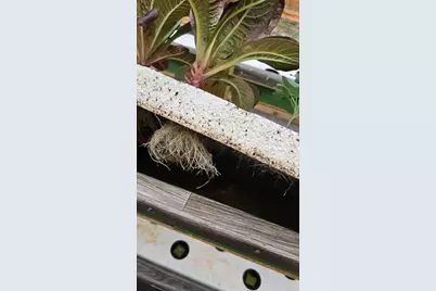 3510 Walk in Water Road, Lake Wales, FL 33898 - Photo 12