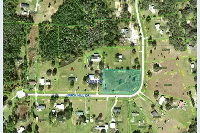 Buck Hill Drive, Polk City, FL 33868 - Photo 2