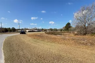 Buck Hill Dr, Polk City, FL 33868 - Photo 6