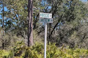 923 Hibiscus Dr, Indian Lake Estates, FL 33855 - Photo 1