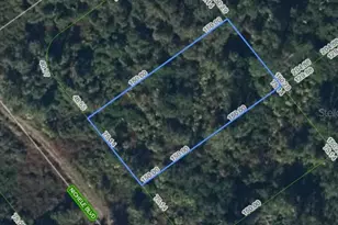 455 Nichele Blvd, Lake Placid, FL 33852 - Photo 1