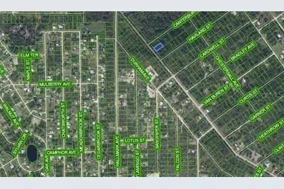 455 Nichele Boulevard, Lake Placid, FL 33852 - Photo 6