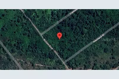 455 Nichele Boulevard, Lake Placid, FL 33852 - Photo 8