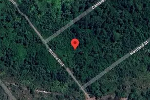 455 Nichele Blvd, Lake Placid, FL 33852 - Photo 8