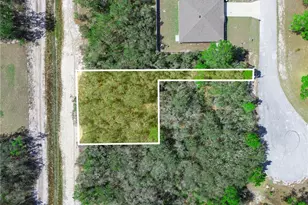 1246 Wahneta Dr, Kissimmee, FL 34759 - Photo 1