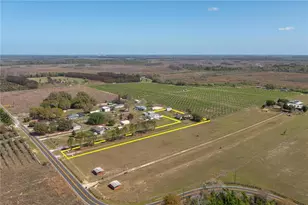 8236 Lake Lowery Rd, Haines City, FL 33844 - Photo 34