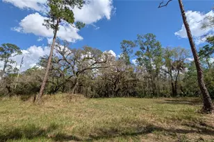 Gillette Rd, Zolfo Springs, FL 33890 - Photo 1