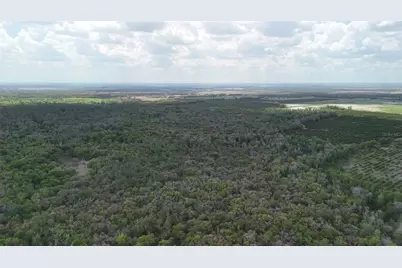 Gillette Road, Zolfo Springs, FL 33890 - Photo 66