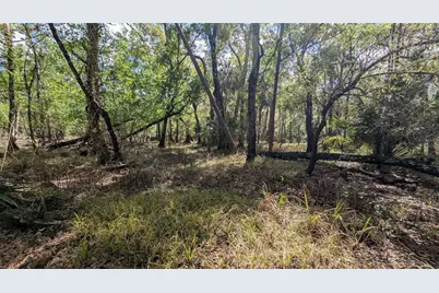 Gillette Road, Zolfo Springs, FL 33890 - Photo 16