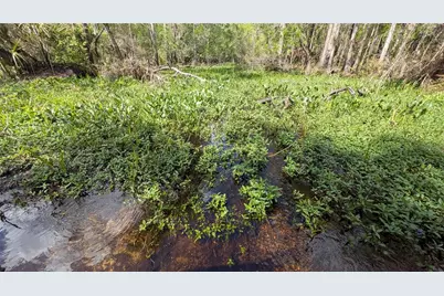 Gillette Road, Zolfo Springs, FL 33890 - Photo 18