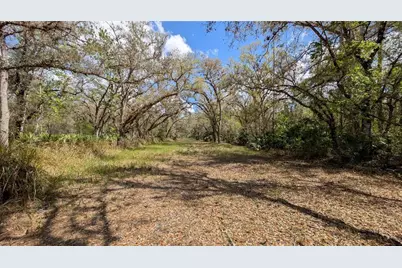 Gillette Road, Zolfo Springs, FL 33890 - Photo 2