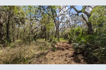 Gillette Road, Zolfo Springs, FL 33890 - Photo 8