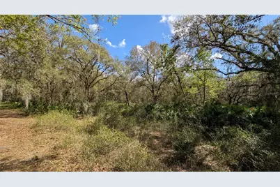 Gillette Road, Zolfo Springs, FL 33890 - Photo 52