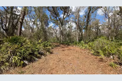 Gillette Road, Zolfo Springs, FL 33890 - Photo 36