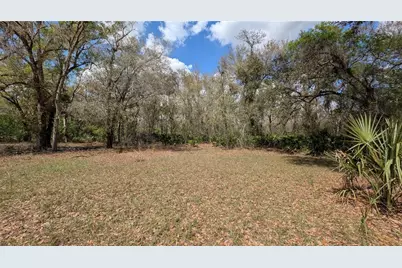 Gillette Road, Zolfo Springs, FL 33890 - Photo 28