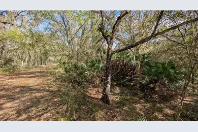 Gillette Road, Zolfo Springs, FL 33890 - Photo 50