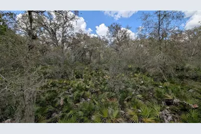 Gillette Road, Zolfo Springs, FL 33890 - Photo 30