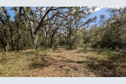 Gillette Road, Zolfo Springs, FL 33890 - Photo 46