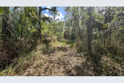 Gillette Road, Zolfo Springs, FL 33890 - Photo 10