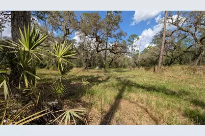 Gillette Road, Zolfo Springs, FL 33890 - Photo 40